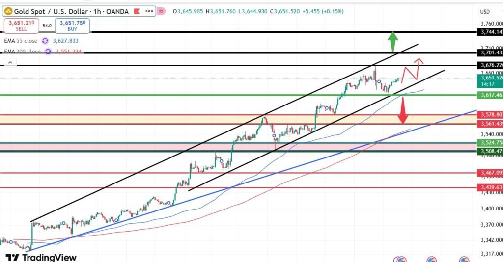 تحليل السوق اليومي 2-12-2025