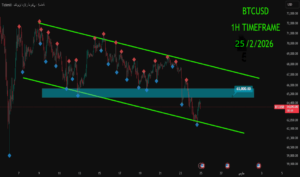 تحليل السوق اليومي 25-2-2026