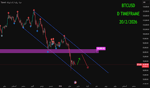 تحليل السوق اليومي 19-2-2026