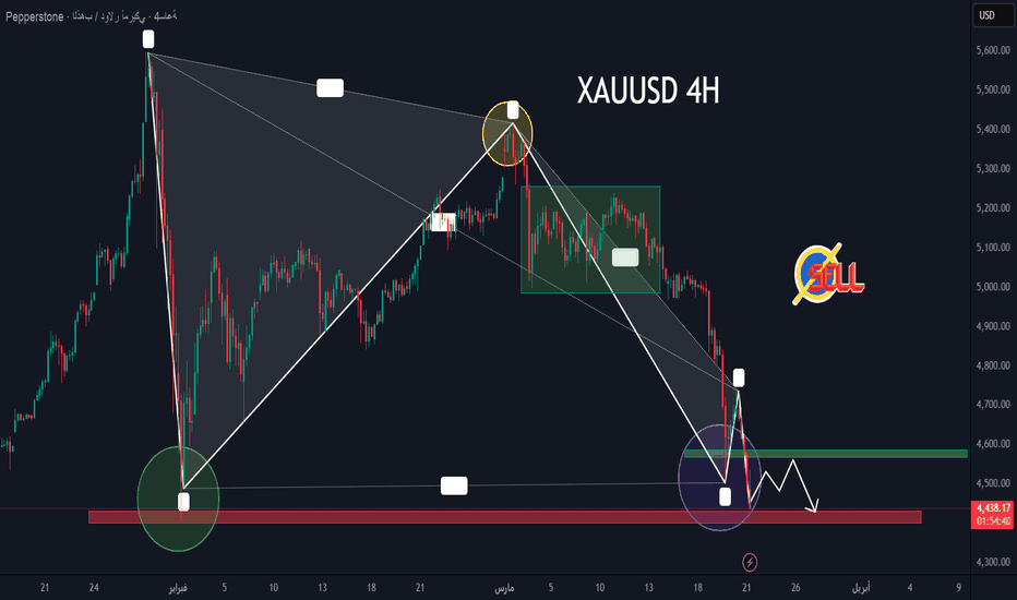تحليل السوق اليومي 24-3-2026